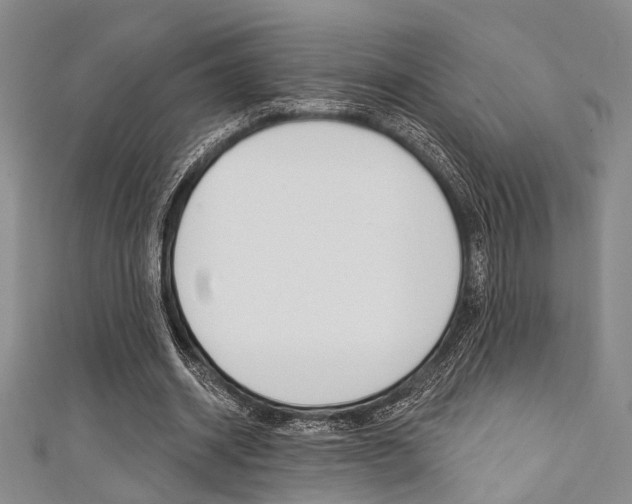 X0000111420534200907131022