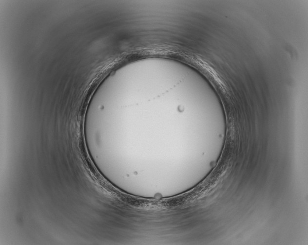 X0000111420537200907131022