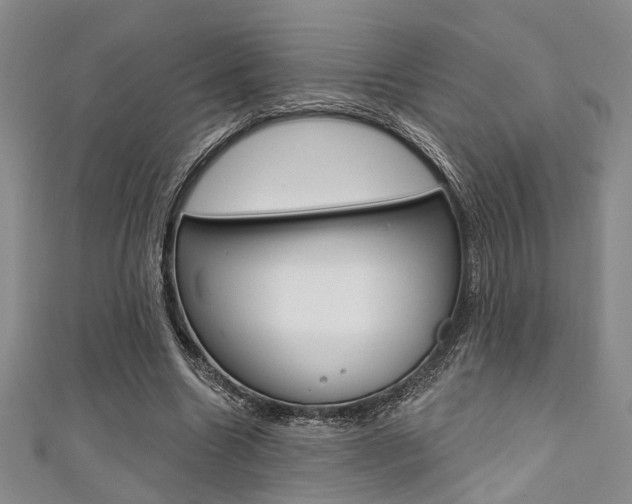 X0000111420538200907131022