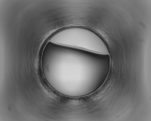 X0000111420540200907131022