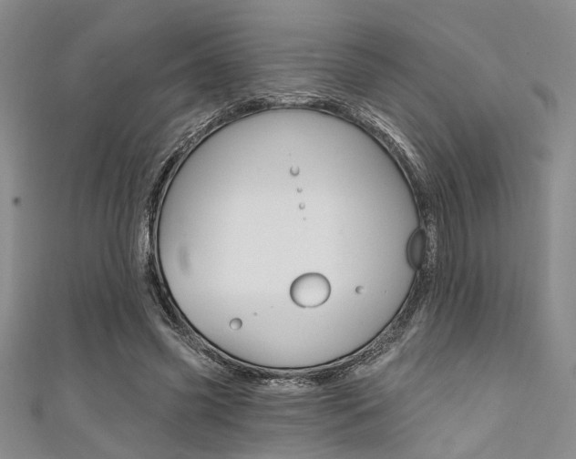 X0000111420541200907131022