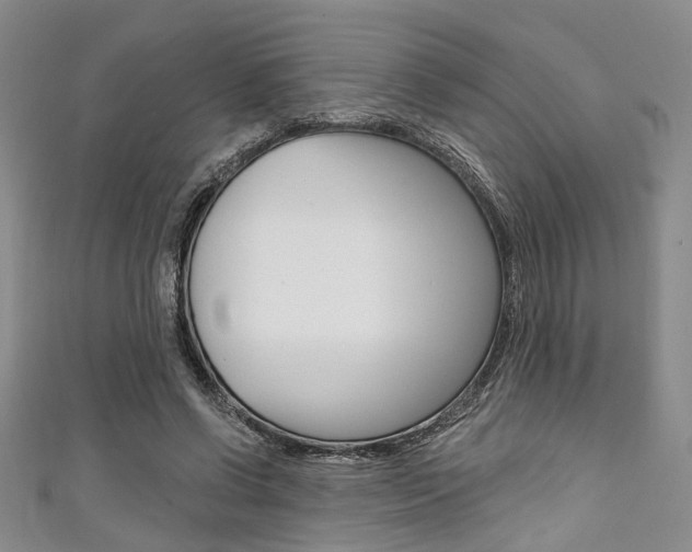 X0000111420542200907131022