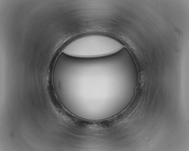 X0000111420544200907131022