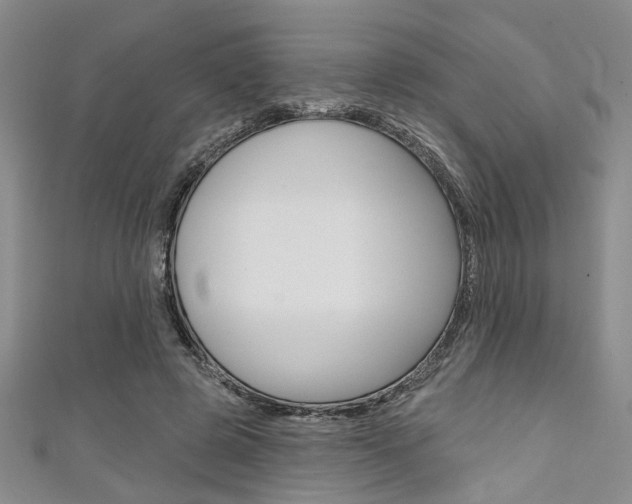 X0000111420545200907131022