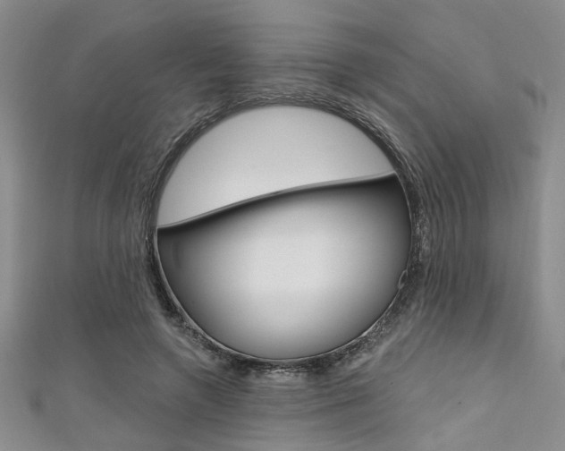 X0000111420546200907131022