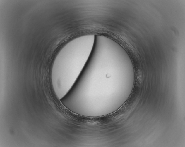 X0000111420547200907131022