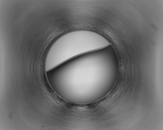 X0000111420548200907131022