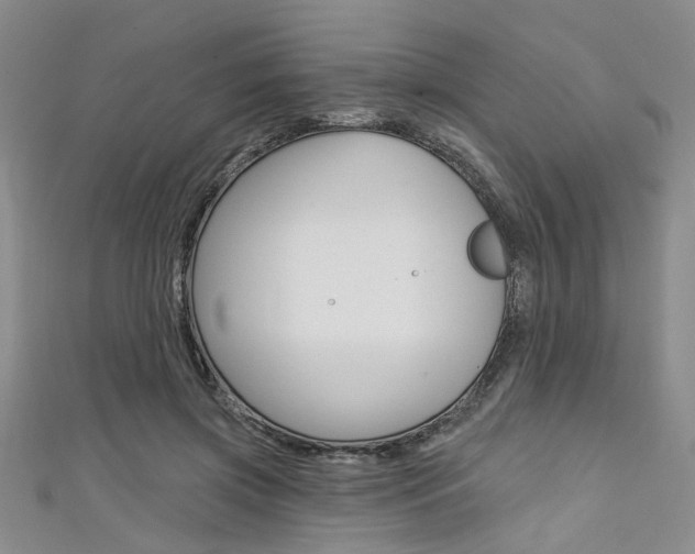X0000111420549200907131022