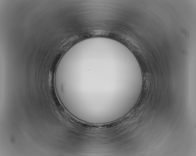 X0000111420550200907131022