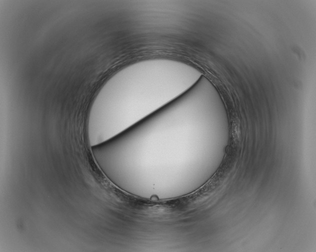 X0000111420551200907131022