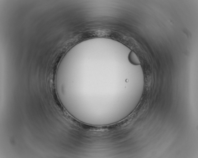 X0000111420553200907131022