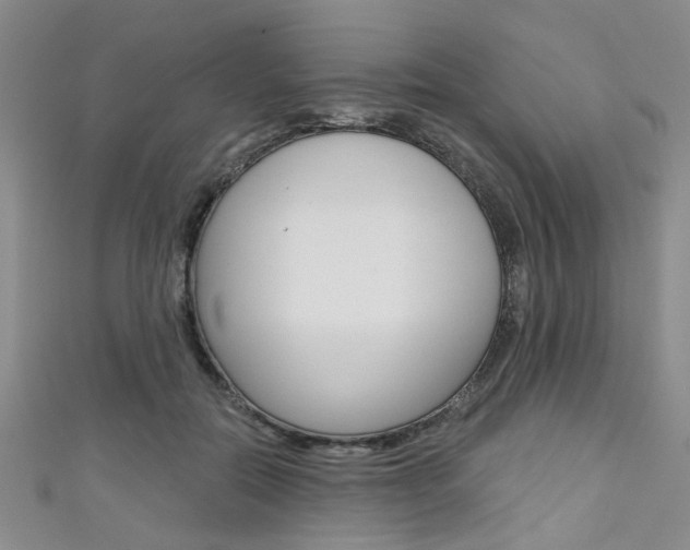 X0000111420554200907131022