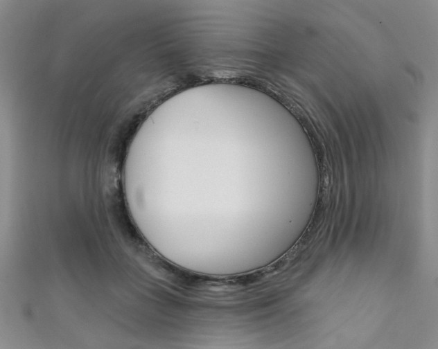 X0000111420555200907131022