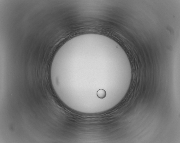 X0000111420556200907131022