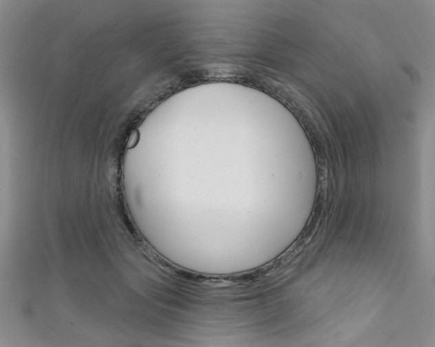 X0000111420557200907131022