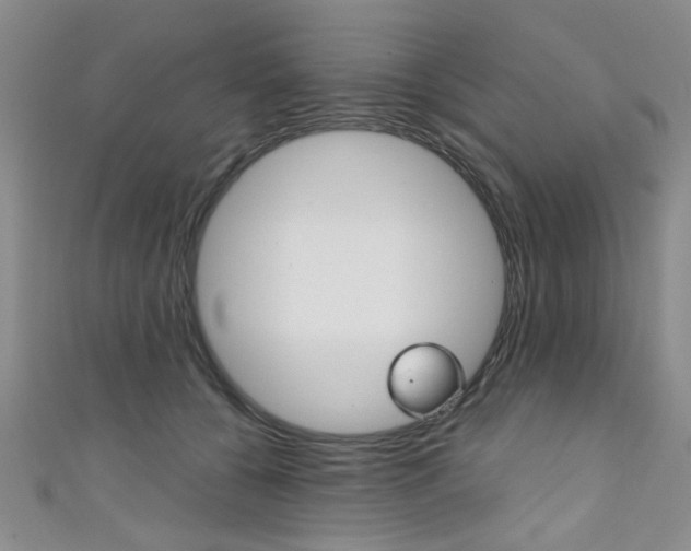 X0000111420560200907131022