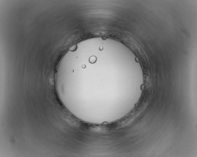 X0000111420561200907131022