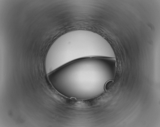 X0000111420562200907131022
