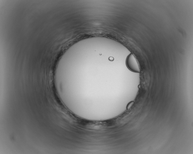 X0000111420563200907131022