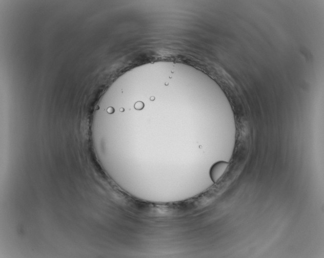 X0000111420565200907131022