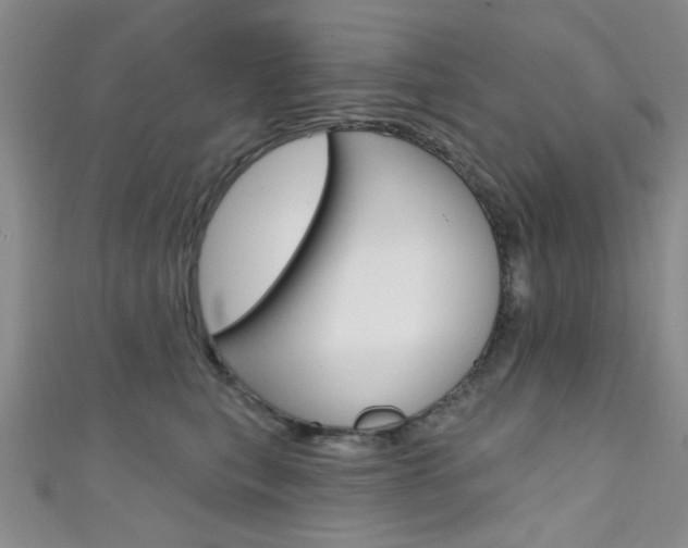 X0000111420567200907131022