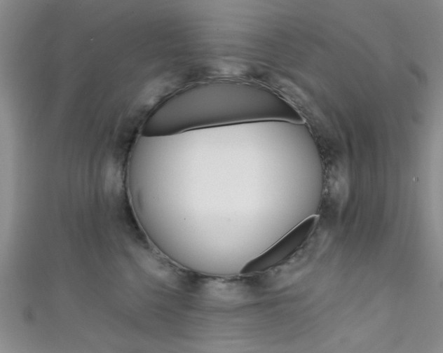 X0000111420568200907131022