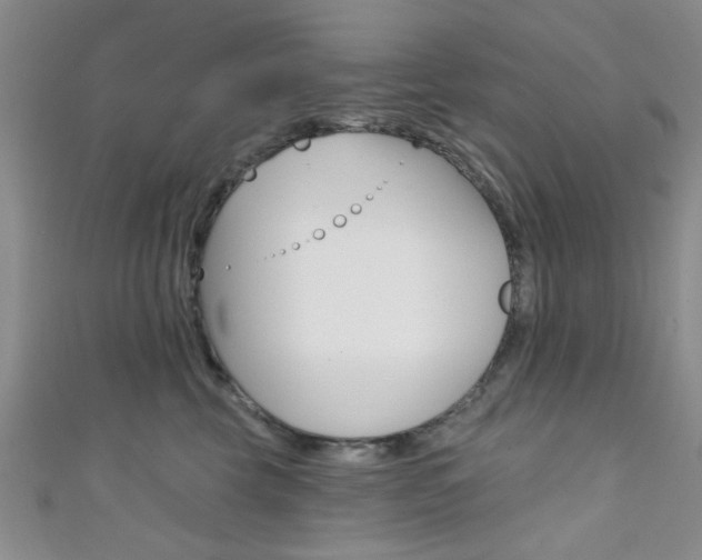 X0000111420569200907131022