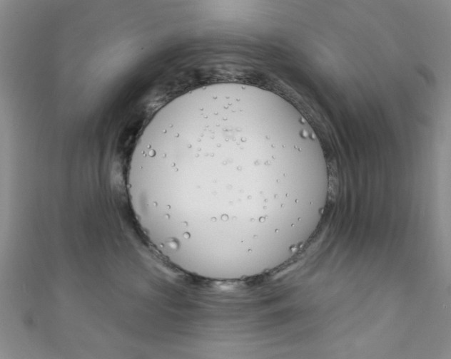 X0000111420573200907131022