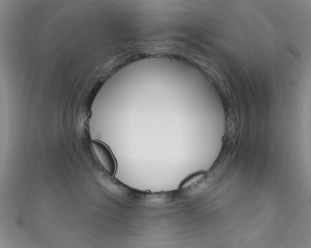 X0000111420574200907131022