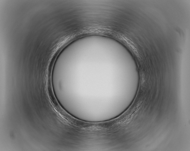 X0000111420578200907131022