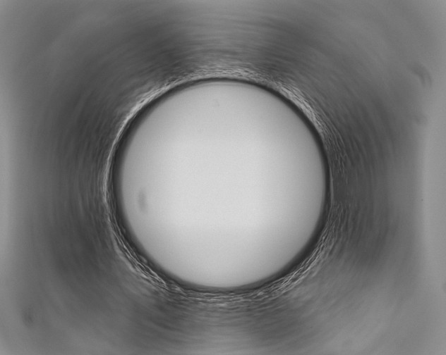 X0000111420579200907131022