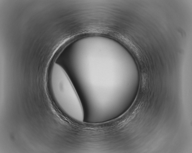 X0000111420580200907131022