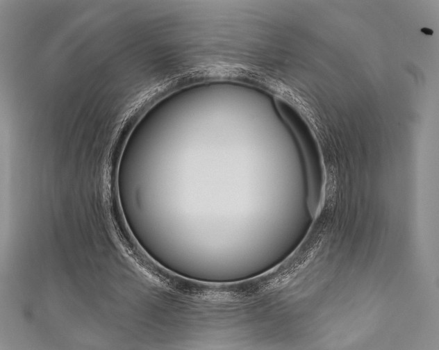X0000111420581200907131022