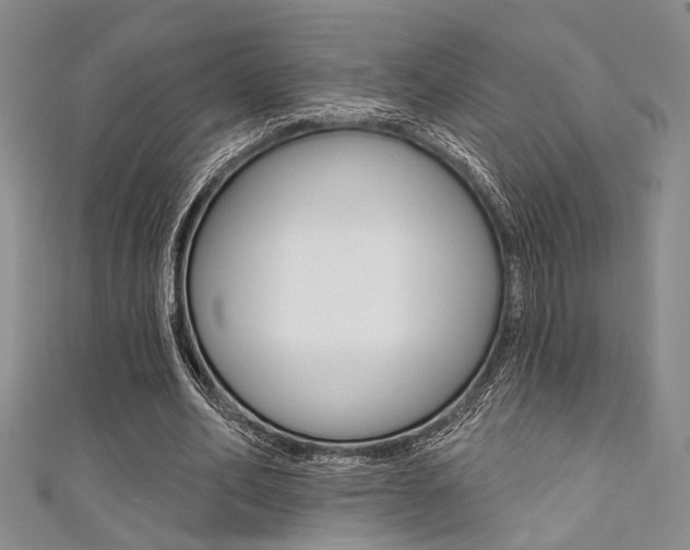 X0000111420582200907131022
