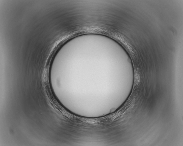 X0000111420583200907131022