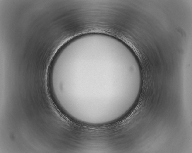 X0000111420584200907131022
