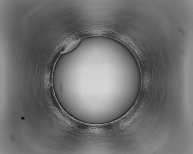 X0000111420585200907131022