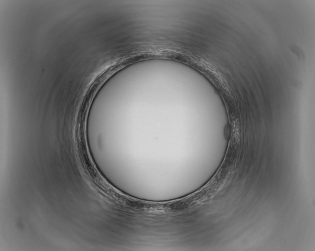 X0000111420587200907131021