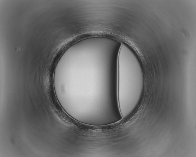 X0000111420588200907131021