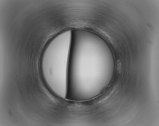 X0000111420589200907131021