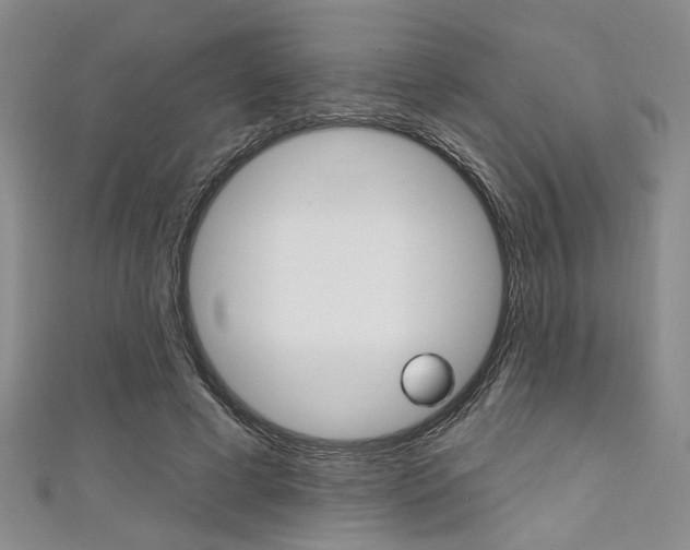 X0000111420593200907131021