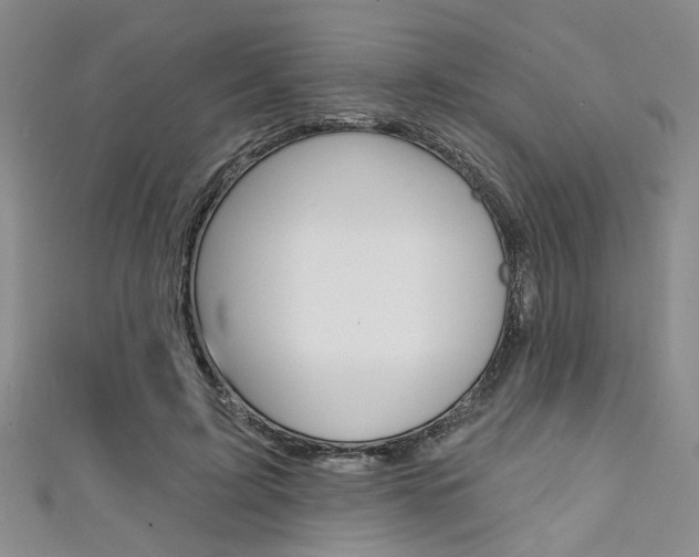 X0000111420595200907131021