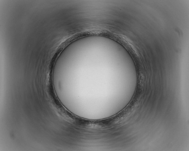 X0000111420596200907131021