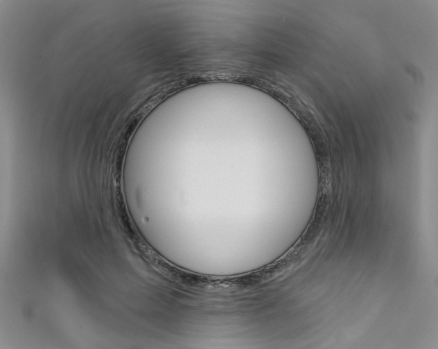 X0000111420599200907131021