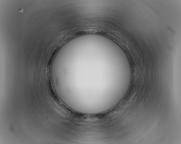 X0000111420601200907131021