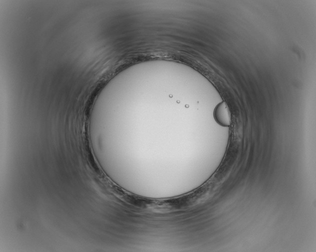 X0000111420603200907131021
