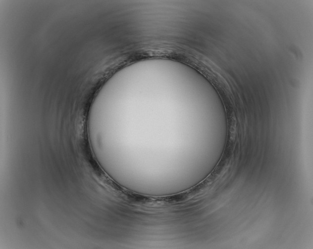 X0000111420604200907131021