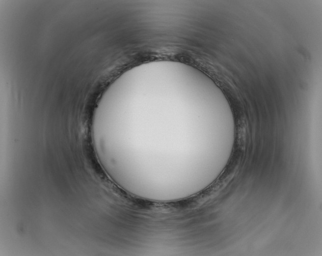 X0000111420608200907131021