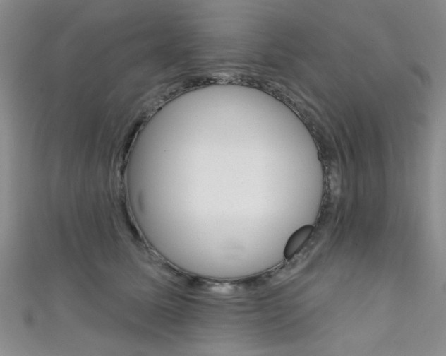 X0000111420611200907131021