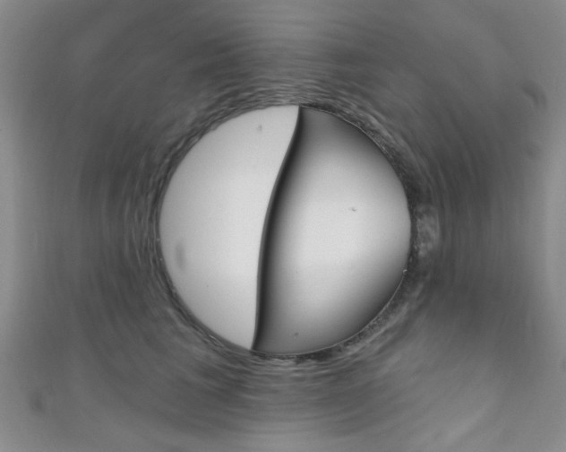 X0000111420613200907131021